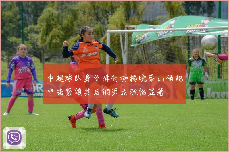中超球队身价排行榜揭晓泰山领跑申花紧随其后铜梁龙涨幅显著